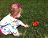 Little Explorers Child Care photo 2