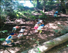 Green Star Childcare