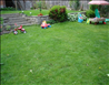 Blooming Babies Child Care