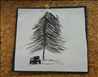 Forest Grove Preschool photo 5